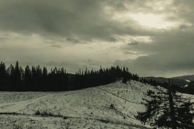 Güzel dağ manzarası, Karpat Dağları, Ukrayna