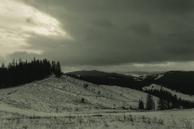 Karpatlar 'ın dağlarında kış manzarası