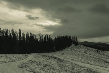 Karla kaplı ağaçlarla kaplı güzel kış manzarası