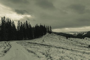 Karpat Dağları 'ndaki kış manzarası