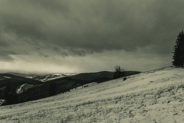 Karla kaplı ağaçlarla kaplı kış manzarası