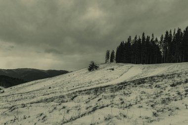 manzara güzel kış dağlar