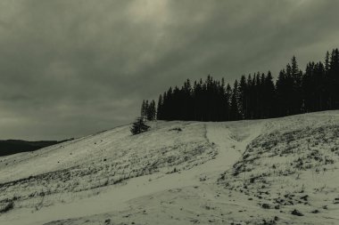 Kışın Karpat Dağları