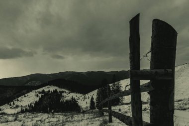 Ağacı ve dağı olan güzel bir manzara.