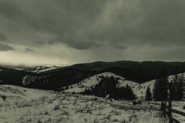 Karlı ve ağaçlı dağlarda kış manzarası