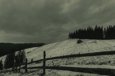 Ağaçlar ve bulutlarla dolu güzel bir manzara.