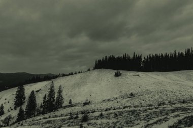 Dağları ve ağaçları olan güzel bir manzara.
