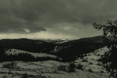 Landscapes, Forest, Carpathians, Photos of nature -Black and white photos, monochrome photos - Europe, Eastern Europe