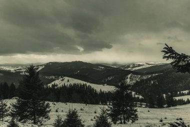 köknar ağaçlarıyla karlı dağların güzel manzarası