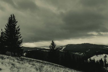 Karlı güzel kış manzarası