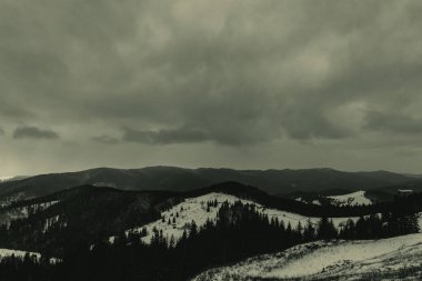 Ormandaki güzel kış manzarası
