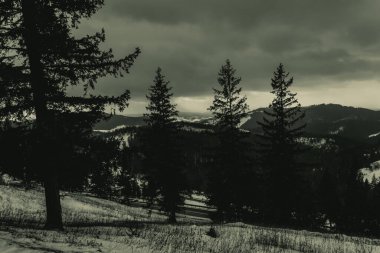 Karlı güzel kış manzarası