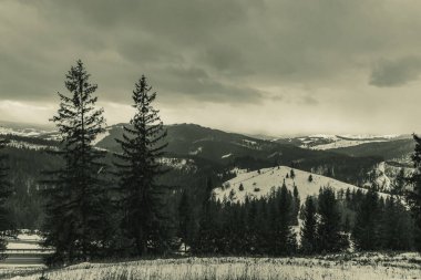 Bulutlu bir gökyüzü ile güzel bir manzaranın dikey çekimi