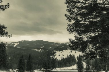 Karlı dağların güzel manzarası