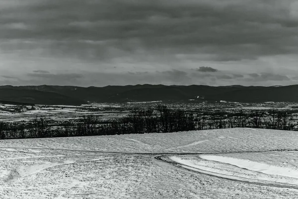 Karla kaplı ağaçları olan güzel bir manzara.