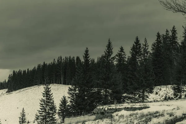 Karla kaplı ağaçlarla kaplı kış manzarası