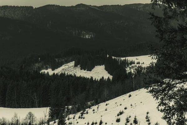 Dağları karla kaplı güzel kış manzarası