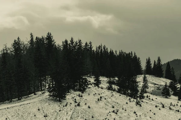 Karlı güzel kış manzarası - tepeli zirveler