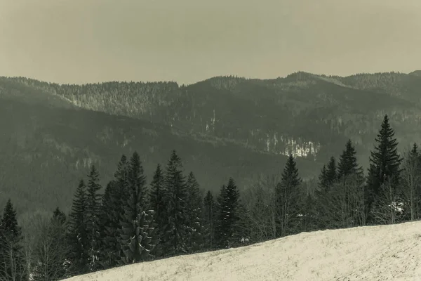 Güzel kış dağ manzarası. Doğa arkaplanı