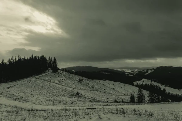 Karpatlar 'ın dağlarında kış manzarası
