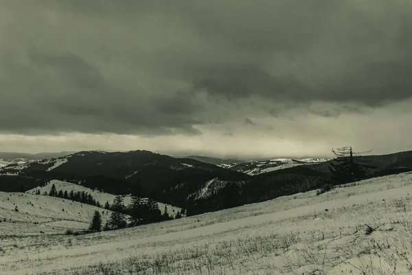 Karpat Dağları güzel kış manzarası