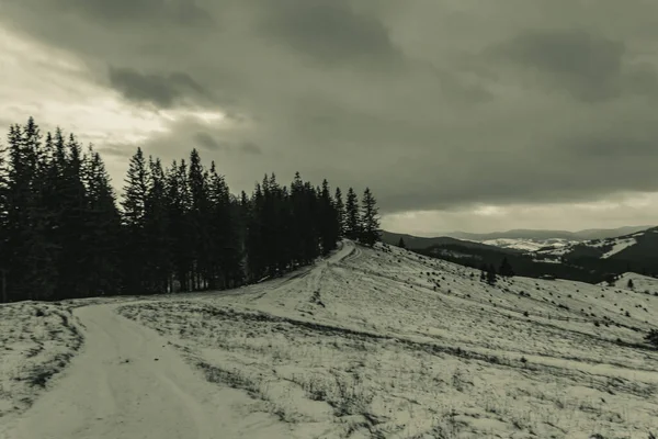 Karpat Dağları 'ndaki kış manzarası