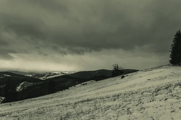 Karla kaplı ağaçlarla kaplı kış manzarası