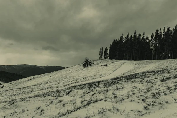 manzara güzel kış dağlar