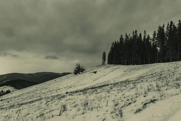 Karpatlar 'da kış dağı manzarası