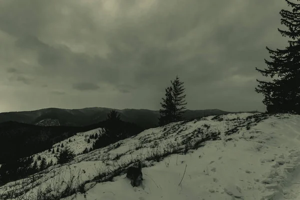 Dağlar ve karla kaplı güzel bir manzara.