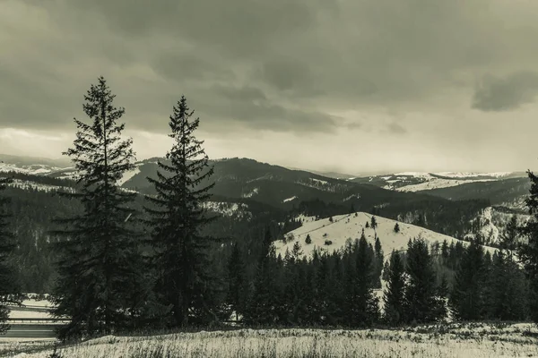 Bulutlu bir gökyüzü ile güzel bir manzaranın dikey çekimi