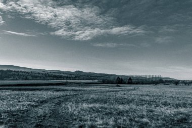 Ağacı ve dağı olan güzel bir manzara.