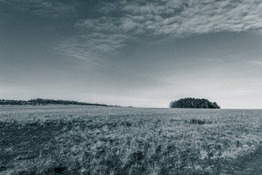 Doğa sahnesinin resimsel görüntüsü