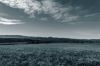 Ağacı ve tarlası olan güzel bir manzara.