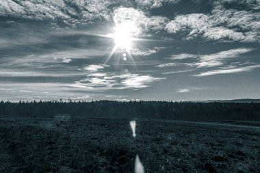 Tarlada güzel bir gün batımı