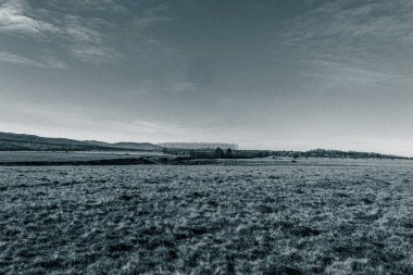 Buğday tarlası olan güzel bir manzara.