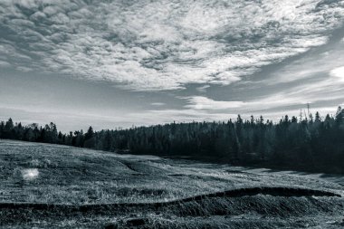 güzel dağ nehri manzarası