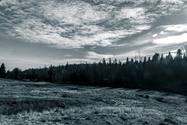 Nehir ve gölü olan güzel bir manzara.