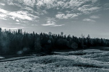 Dağları ve ormanı olan güzel bir manzara.