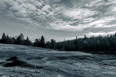 Arkaplanda bir dağın siyah beyaz fotoğrafı