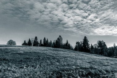 Ağacı ve dağı olan güzel bir manzara.