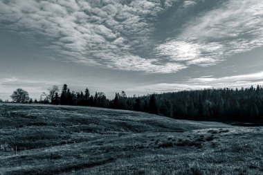 Arka planda nehir ve göl olan güzel bir manzara.