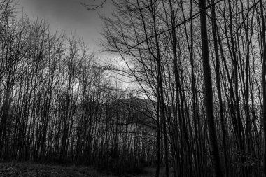 Dağların güzel manzarası