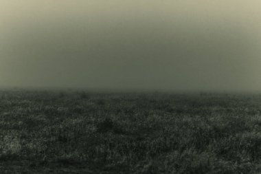 Güzel bir manzaranın siyah beyaz fotoğrafı