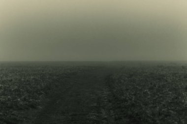 Dağların güzel manzarası