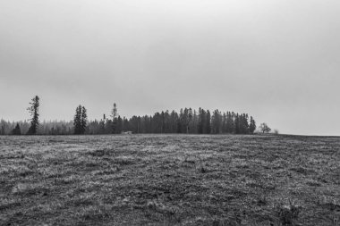 Karpatlar 'da siyah ve beyaz manzara.