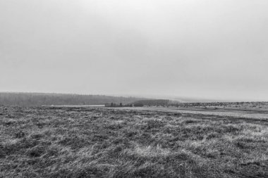 Arkaplanda bir alan olan bir alanın gri tonlu görüntüsü