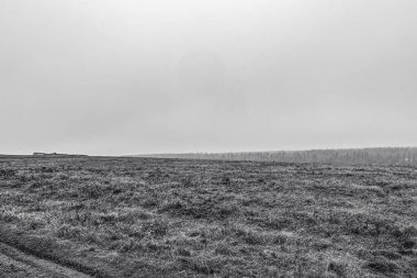 bir tarlaya sahip manzaranın siyah ve beyaz resmi