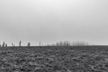 Dağlardaki güzel bir dağ manzarası