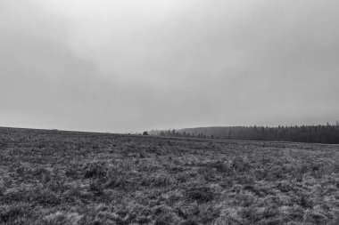 Ormanda siyah beyaz bulutlar